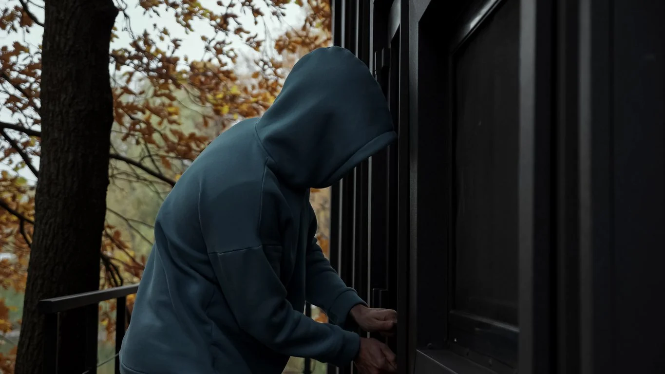 Intruder detection system